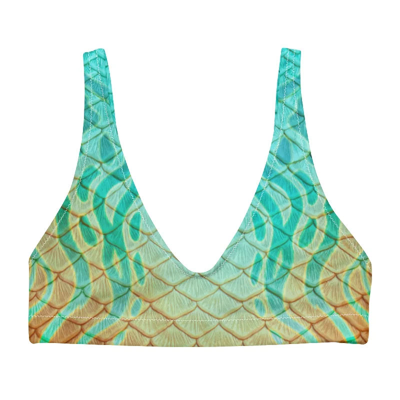 Oasis Recycled Padded Bikini Top Modern Women's Tech