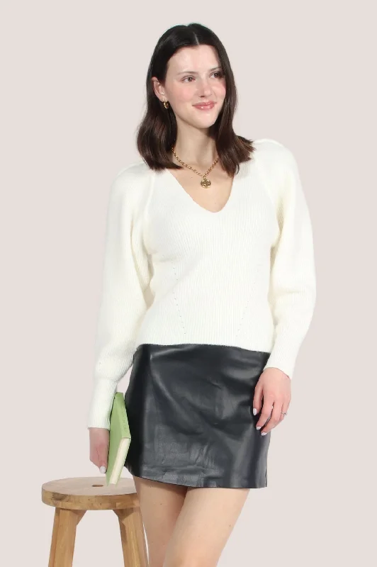 Stokesia V-Neck Sweater Contemporary 